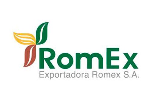 Romex — cliente LemiXData